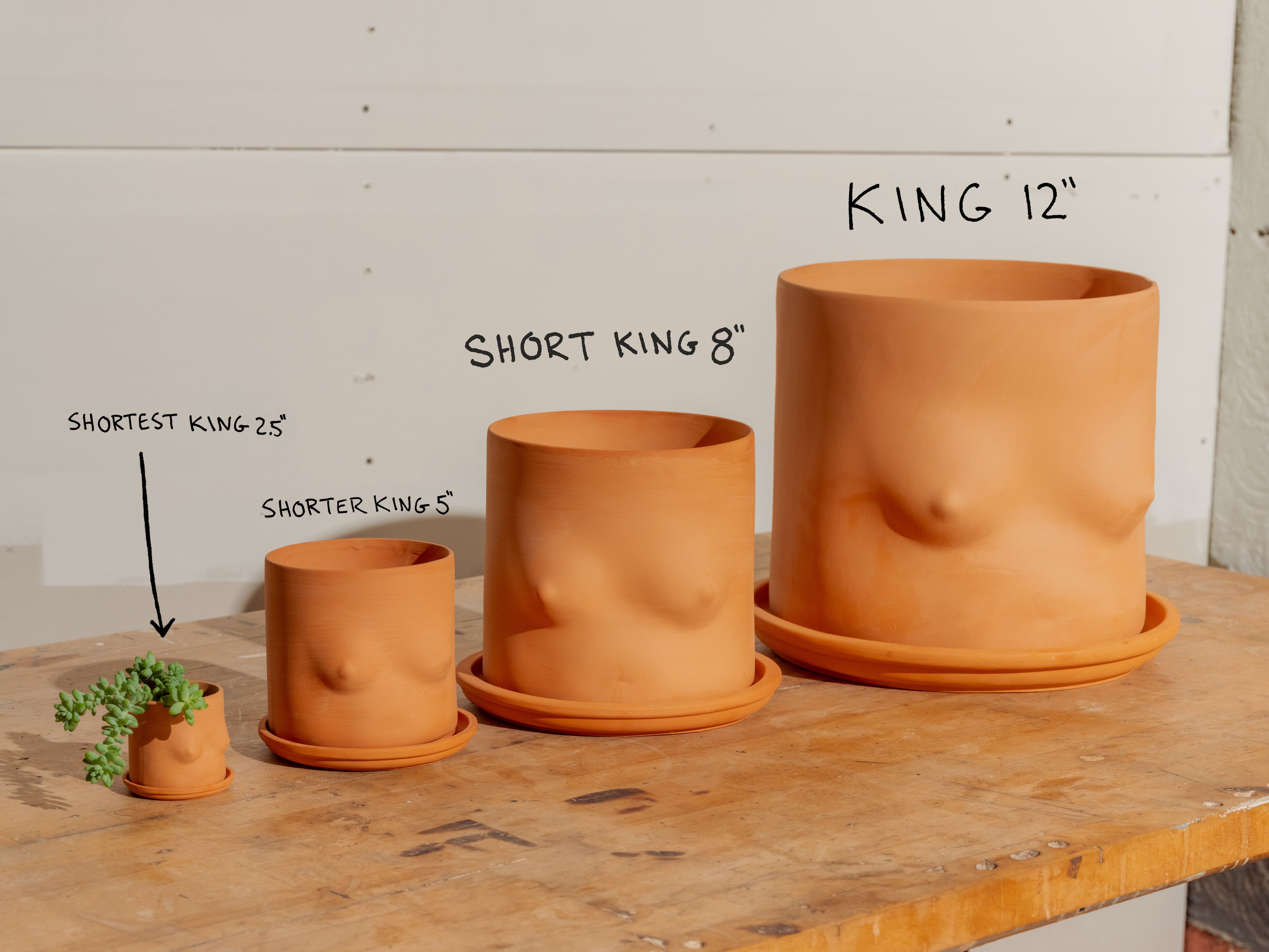 breast plant pots Terracotta Boob Pot – Group Partner