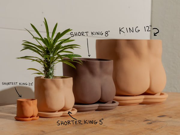 booty pot plant Terracotta Bootie Pot – Group Partner